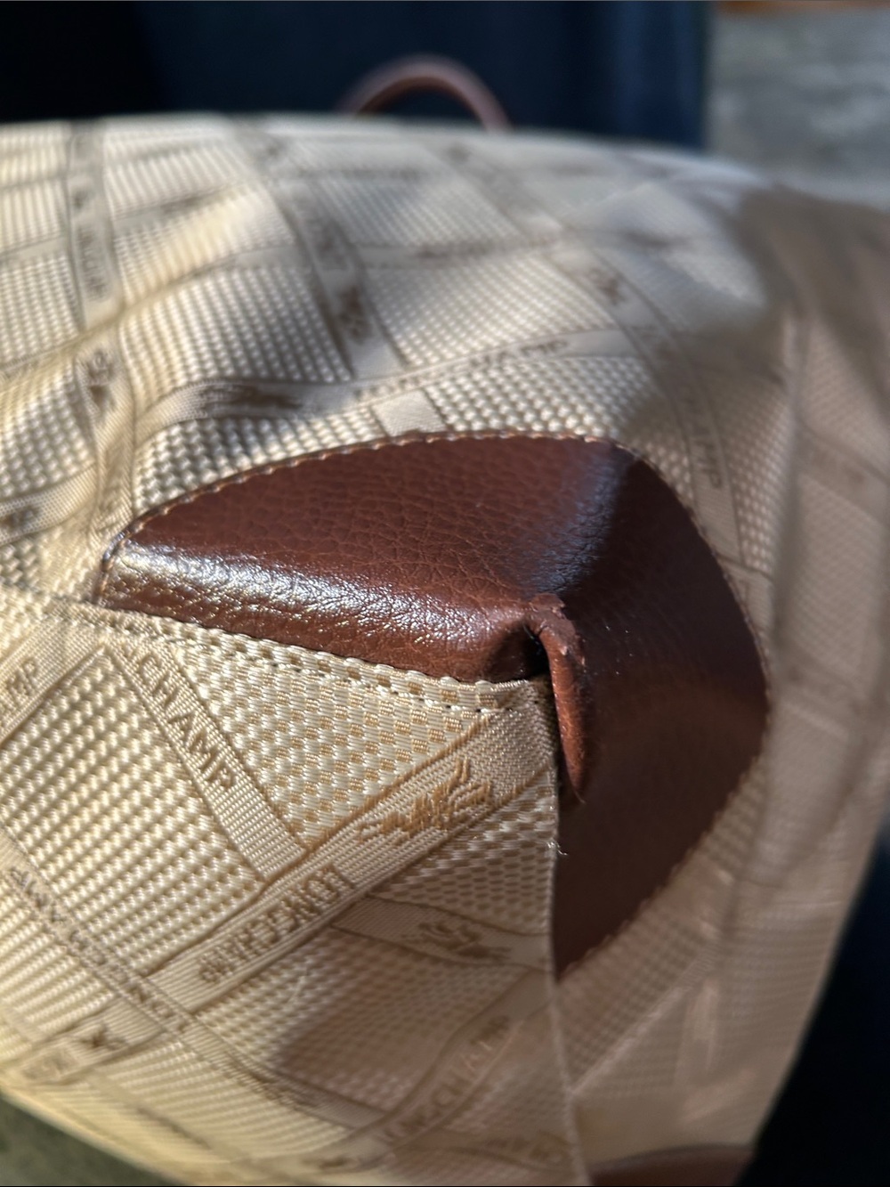 Longchamp Vintage Beige and Brown Tote with Logo Monogram Pattern - Picture 12 of 16